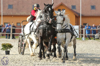 29.4.2017 - Wetbloc Cup