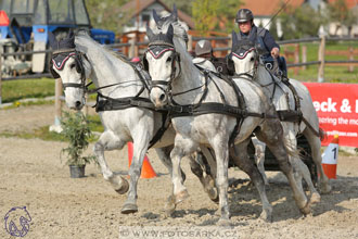 29.4.2017 - Wetbloc Cup