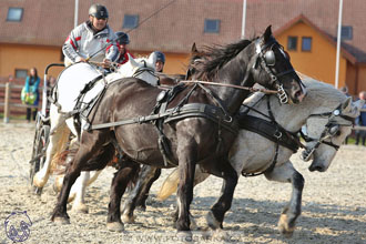 29.4.2017 - Wetbloc Cup