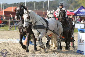 29.4.2017 - Wetbloc Cup