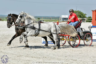 3.6.2017 - Wetbloc Cup 2.kolo