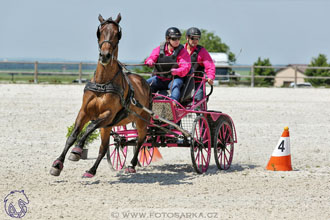 3.6.2017 - Wetbloc Cup 2.kolo