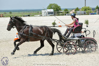 3.6.2017 - Wetbloc Cup 2.kolo