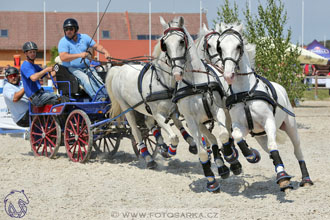3.6.2017 - Wetbloc Cup 2.kolo