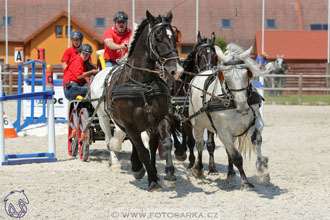 3.6.2017 - Wetbloc Cup 2.kolo