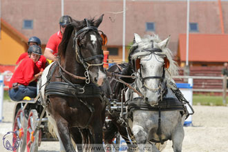 3.6.2017 - Wetbloc Cup 2.kolo