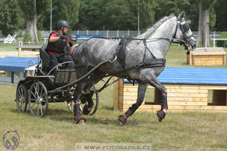 9.7.2017 - kvalifikace ZP Pardubice