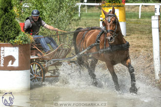 9.7.2017 - kvalifikace ZP Pardubice