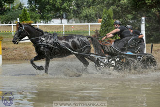 9.7.2017 - kvalifikace ZP Pardubice