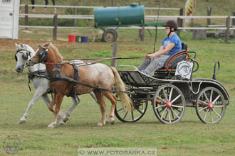 Alkapet vozatajský pohár