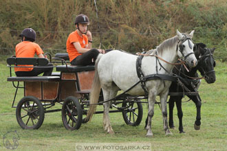 Alkapet vozatajský pohár