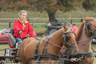 Alkapet vozatajský pohár