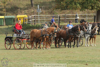Alkapet vozatajský pohár
