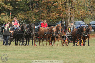 Alkapet vozatajský pohár