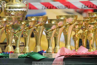 Alkapet vozatajský pohár