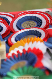 Alkapet vozatajský pohár