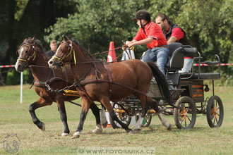 Alkapet vozatajský pohár