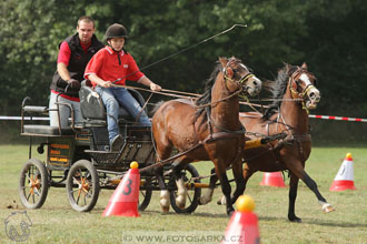 Alkapet vozatajský pohár