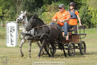 Alkapet vozatajský pohár