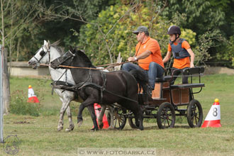 Alkapet vozatajský pohár