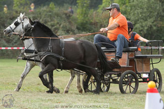 Alkapet vozatajský pohár