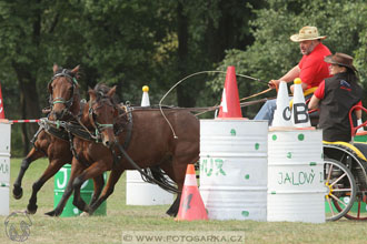 Alkapet vozatajský pohár