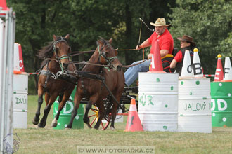 Alkapet vozatajský pohár