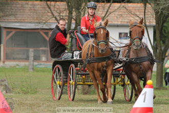 Alkapet vozatajský pohár
