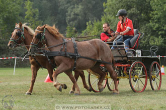 Alkapet vozatajský pohár