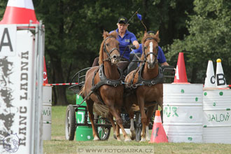 Alkapet vozatajský pohár