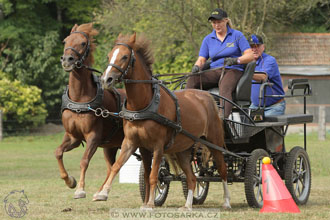 Alkapet vozatajský pohár