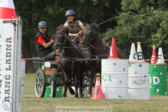 Alkapet vozatajský pohár