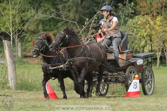 Alkapet vozatajský pohár