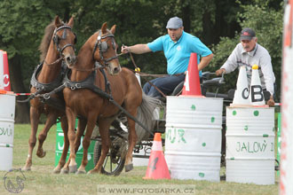 Alkapet vozatajský pohár