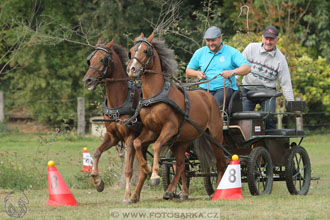 Alkapet vozatajský pohár