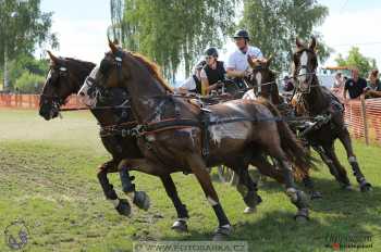 Altenfelden 2018 - maraton