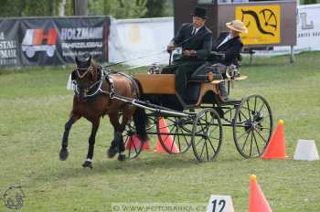 Altenfelden 2018 - neděle