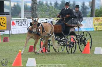 Altenfelden 2018 - neděle