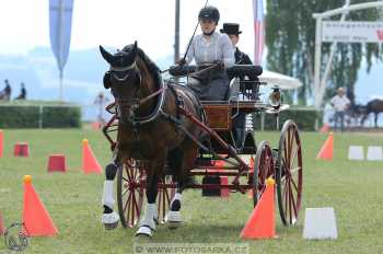 Altenfelden 2018 - neděle