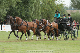CAIO - Nebanice 2016