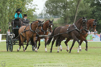 CAIO - Nebanice 2016