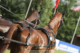 CAIO - Nebanice 2016
