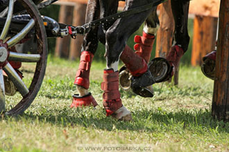 CAIO - Nebanice 2016