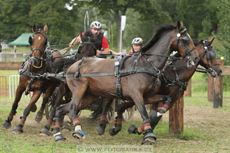 CAIO - Nebanice 2016