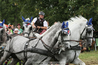 CAIO - Nebanice 2016