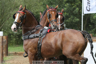 CAIO - Nebanice 2016