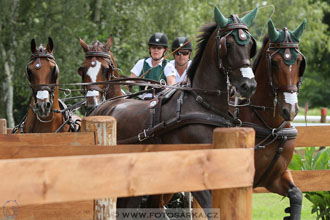 CAIO - Nebanice 2016