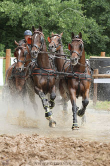 CAIO - Nebanice 2016