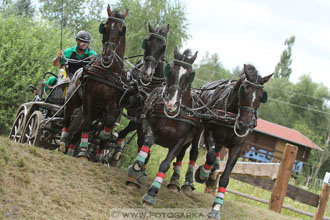 CAIO - Nebanice 2016