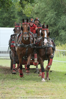 CAIO - Nebanice 2016